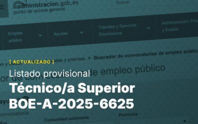 Técnico/a Superior BOE-A-2025-6625