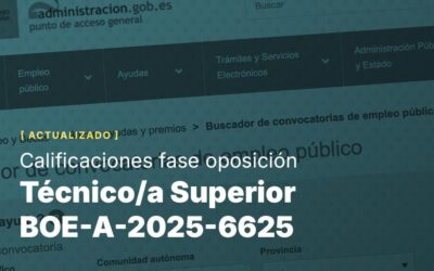 Técnico/a Superior BOE-A-2025-6625