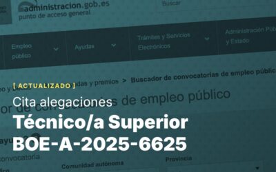 Técnico/a Superior BOE-A-2025-6625