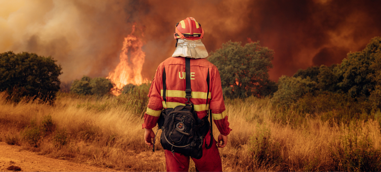 20261106-FOTO-INCENDIOS